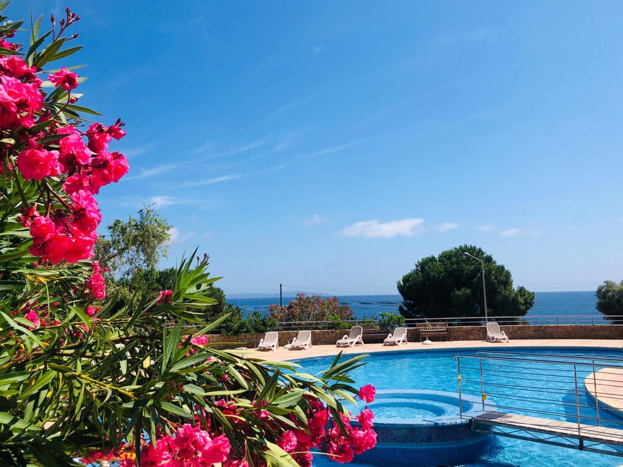 אז'אקסיו Superbe T2 Vue Mer - Piscine & Plage A 100M מראה חיצוני תמונה